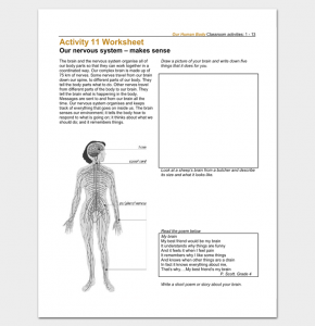 drawing free body diagrams worksheet
